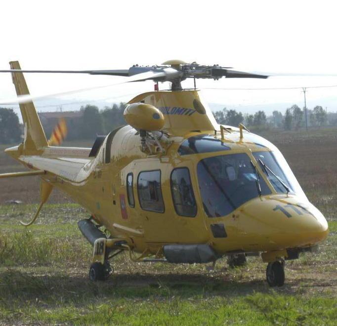 Quattro predatori assaltano un gregge «È guerra aperta» 
