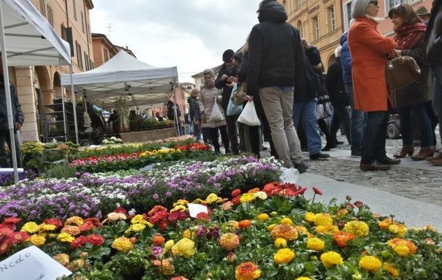 Correggio “invasa” dai fiori 