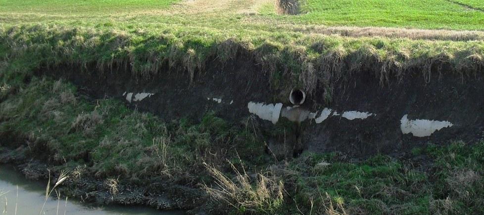 Contro il pericolo nutrie nuova licenza di sparare 
