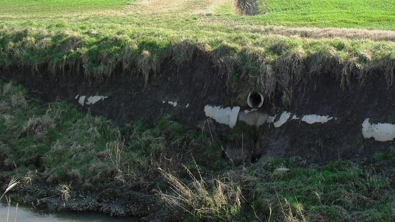 Contro il pericolo nutrie nuova licenza di sparare