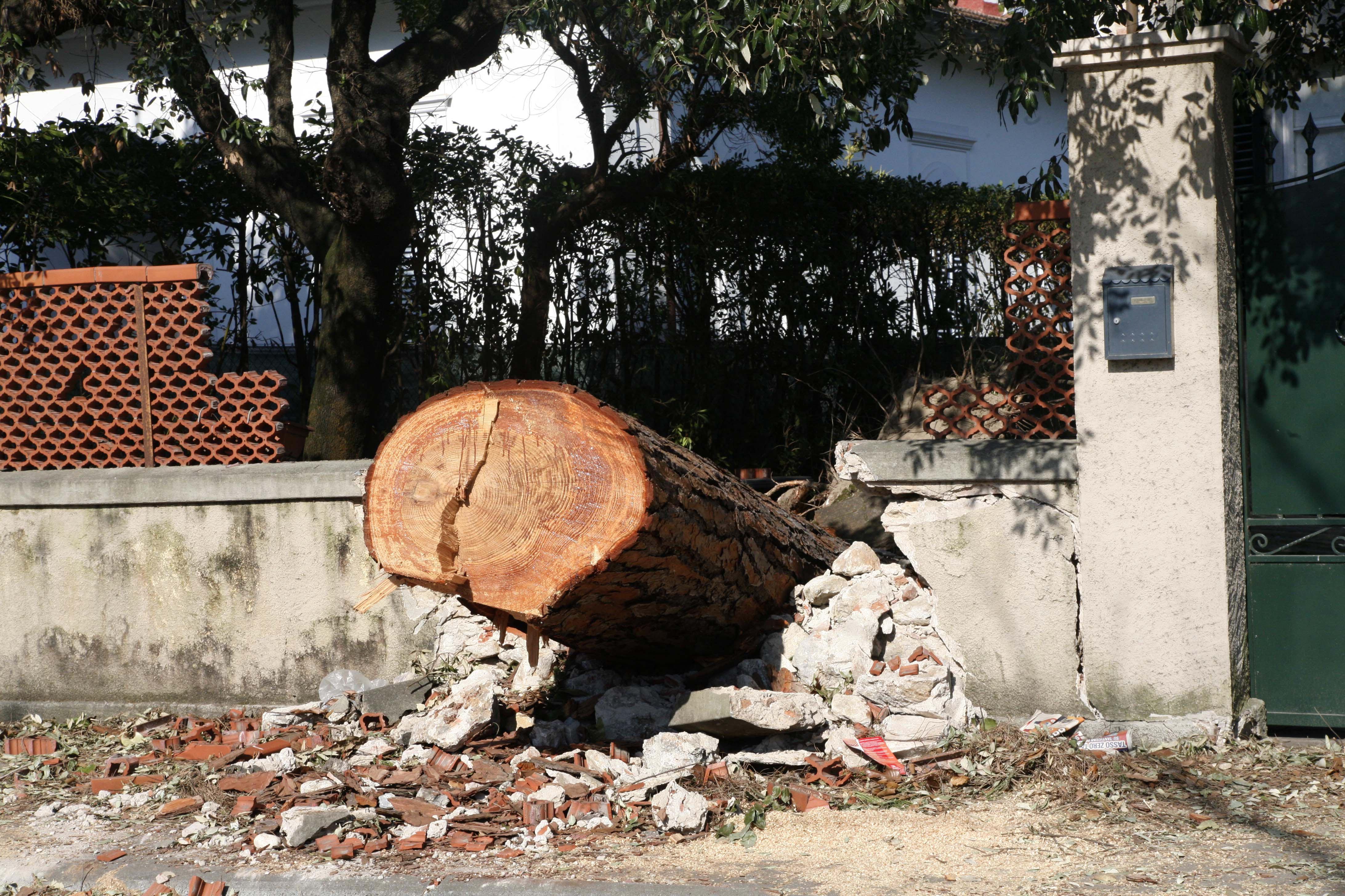 Un albero caduto su una recinzione