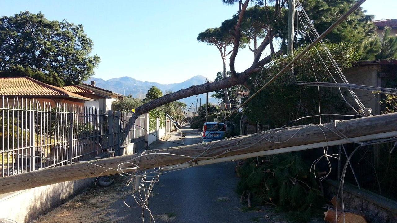 Danni provocati dalla tempesta di vento