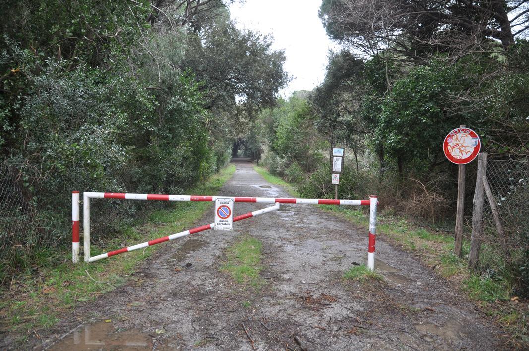 Un tratto di strada interessato dal progetto di pista ciclabile
