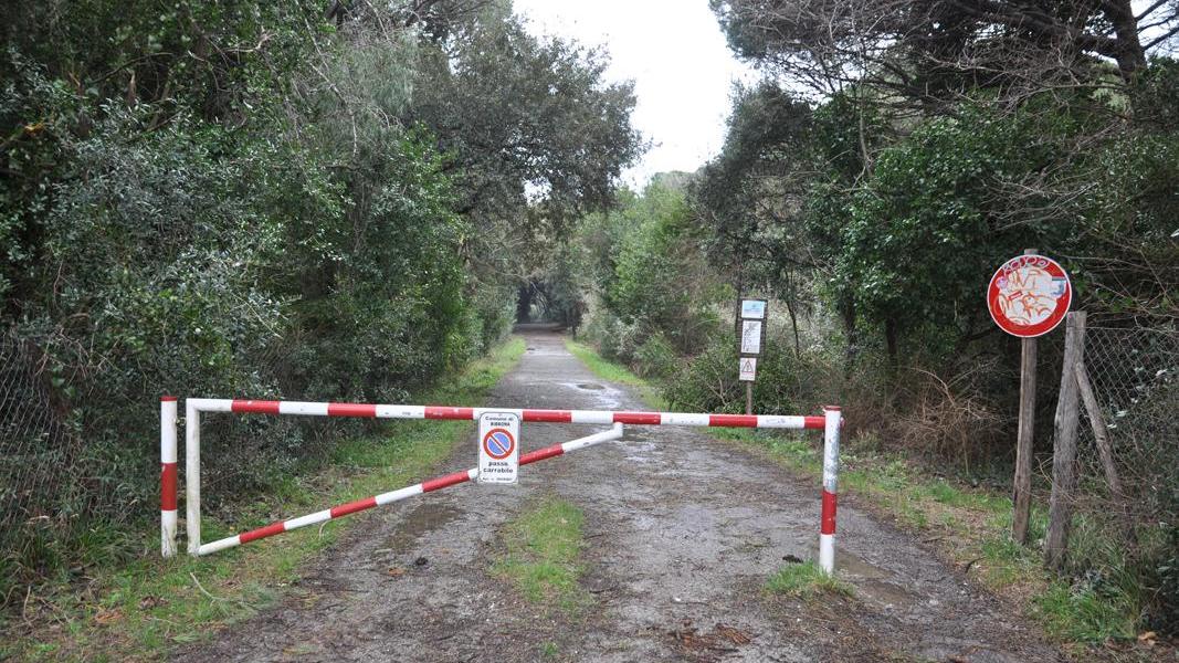 Un tratto di strada interessato dal progetto di pista ciclabile