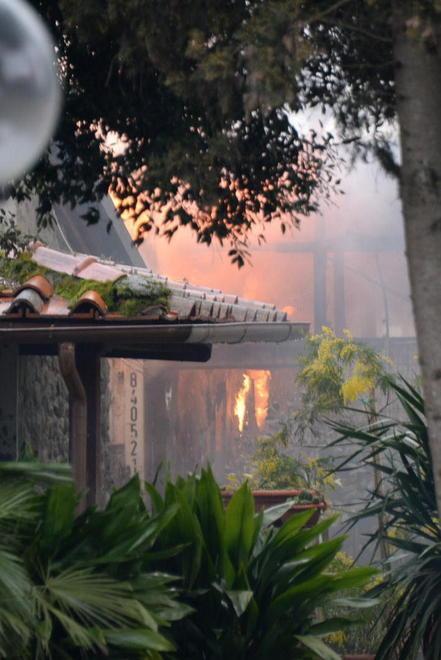 Fabbrica del miele a fuoco: attività ferma, api salvate 
