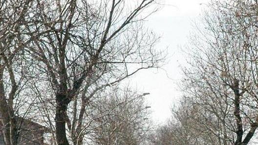 Operato il giovane ricoverato a Siena