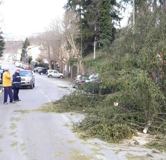 Strade liberate da piante e detriti 
