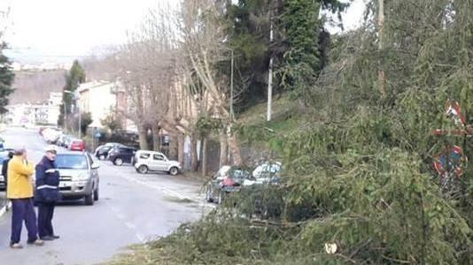Strade liberate da piante e detriti