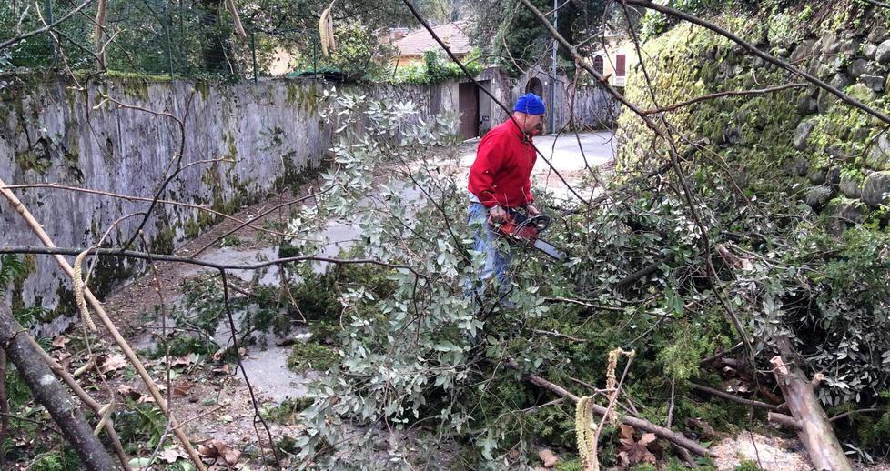 Bagni, graduale ritorno alla normalità 