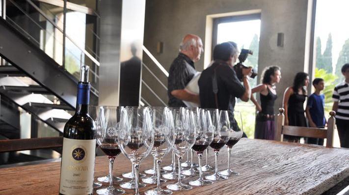 Una degustazione di Sassicaia