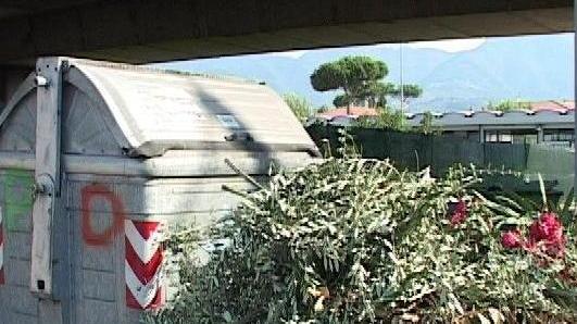 Rifiuti accanto a un cassonetto della spazzatura