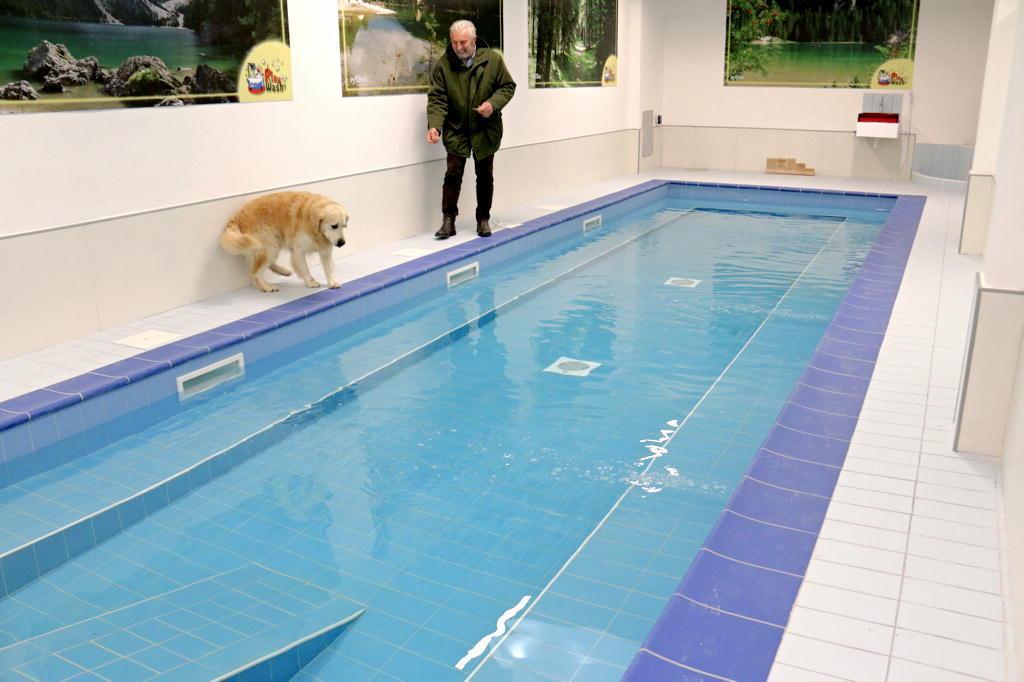 La piscina per cani