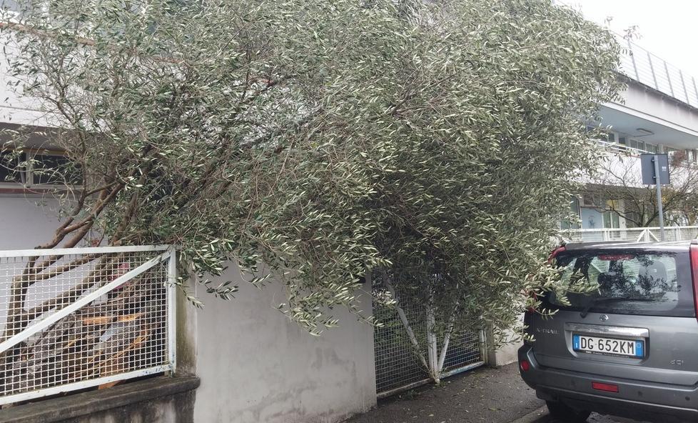 Alla Coccinella si entra dalle cucine