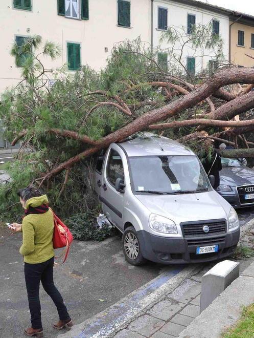 Via all’accertamento dei danni 