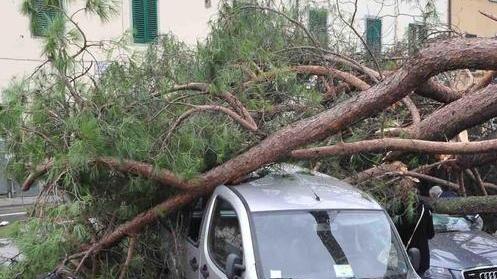 Via all’accertamento dei danni