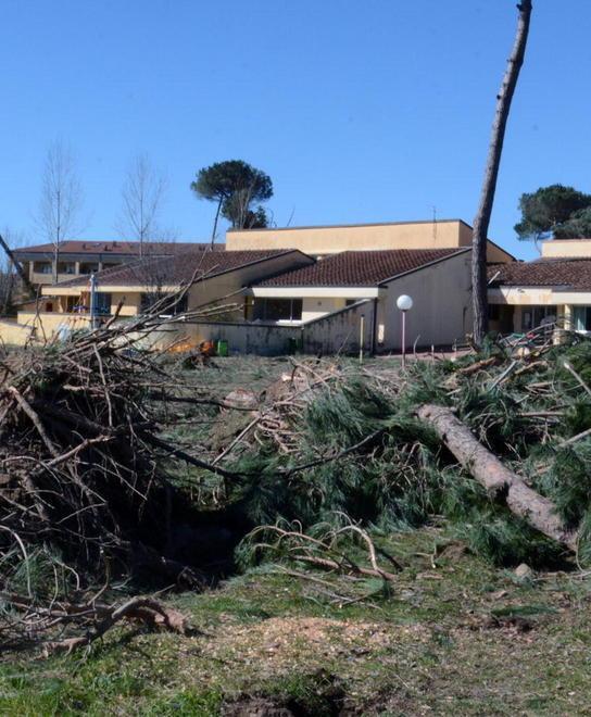 il lento ritorno alla normalitÁ