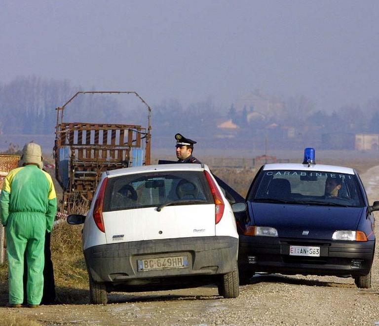 Blitz dei Nas in un allevamento 