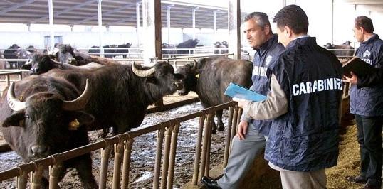 Medicinali sospetti, arrivano i Nas 