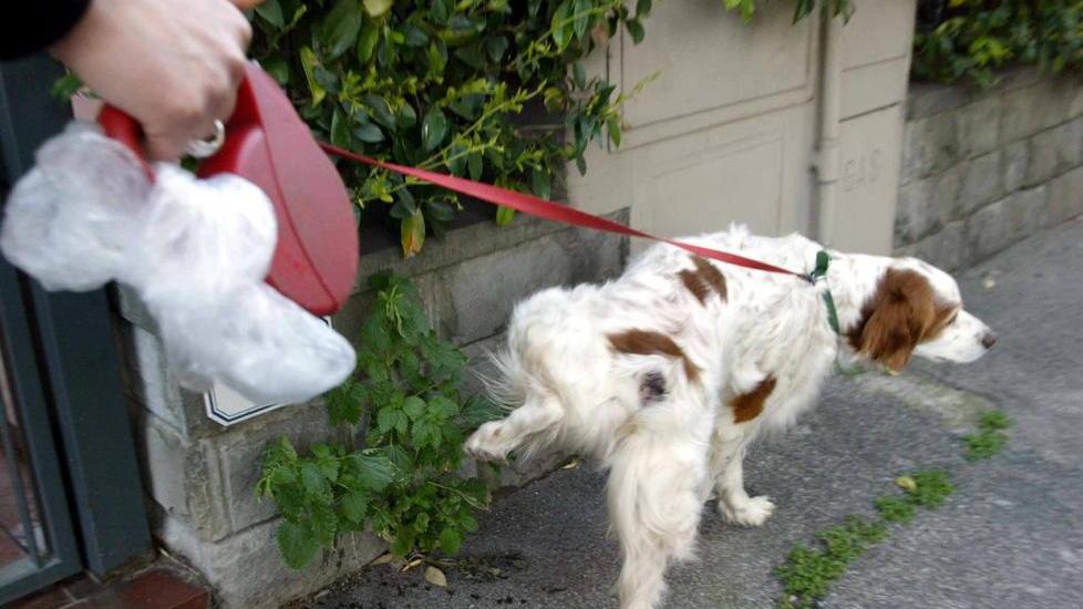 Multe a chi non raccoglie gli escrementi dei cani