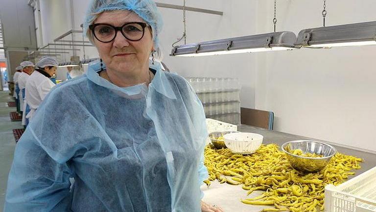 Donna e cavaliere del lavoro la proprietaria dell’Inpa
