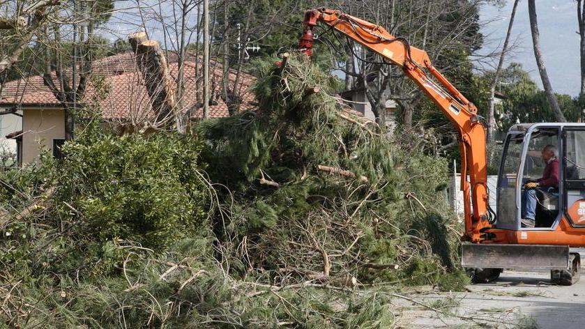 Forte: camion trancia un cavo, le case di nuovo al buio