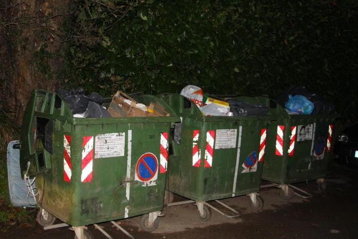 Il caso del verde che finisce buttato nell’indifferenziato 