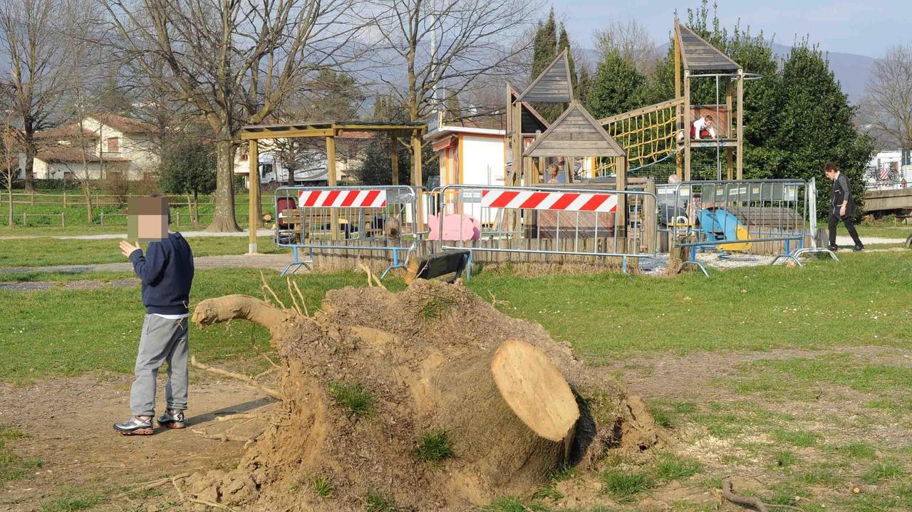 L'area dei giochi transennata nel Parco della Rana (foto Gori)