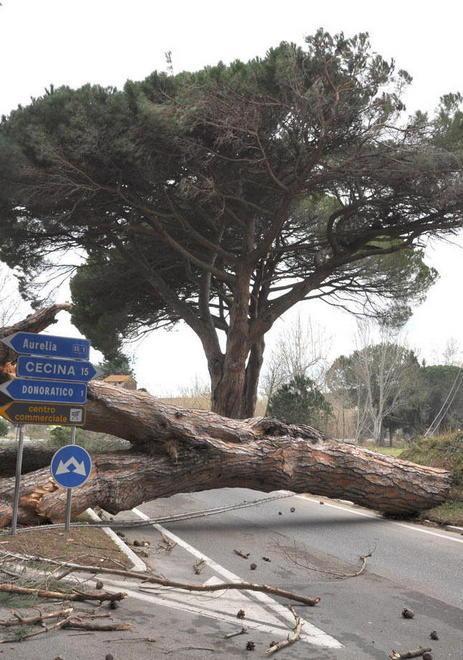Quasi 4 milioni di danni: la Provincia fa i conti