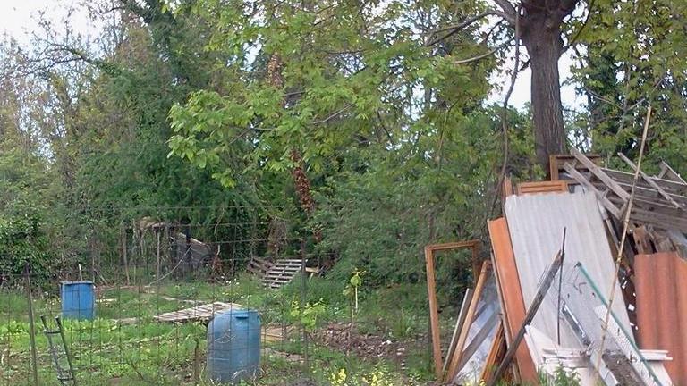Il Comune amplia gli orti Caccia a nuovi terreni