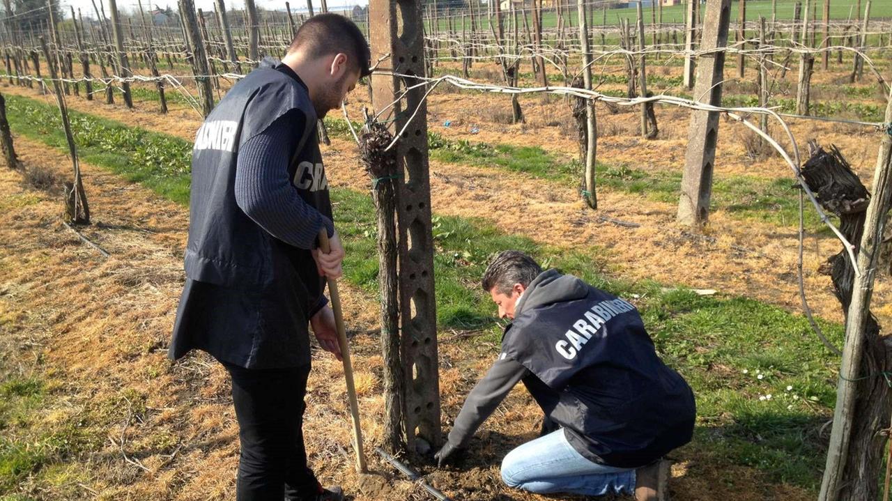 Ecco dove era sotterrata la droga