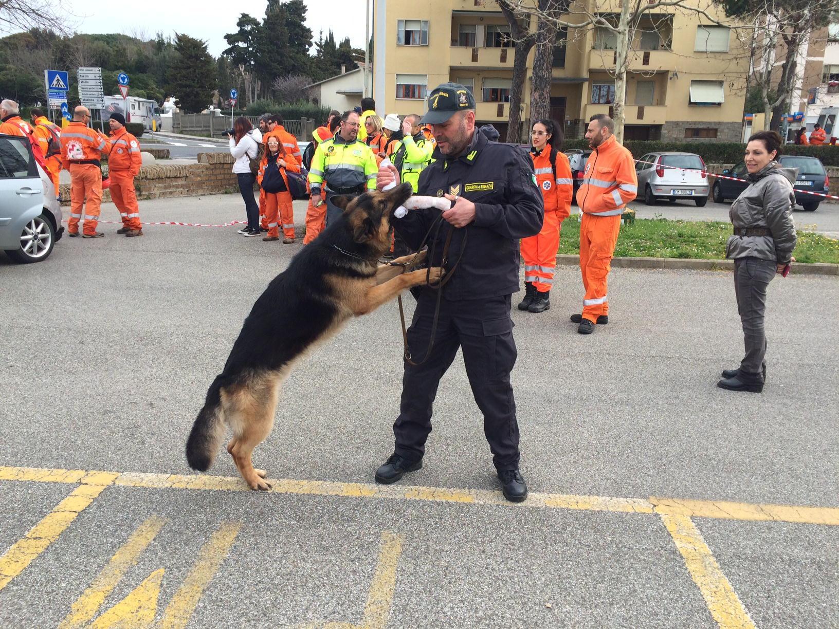 Un cane detective con il suo addestratore