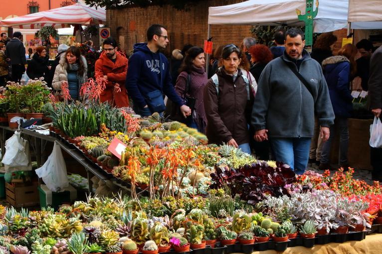 Modena in fiore e il centro diventa un grande giardino 