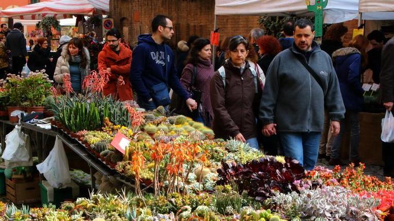 Modena in fiore e il centro diventa un grande giardino
