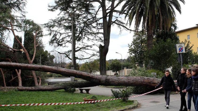Dal servizio civile un aiuto per il rimborso dei danni