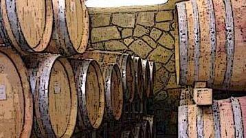 Colli del Candia alla carica: a Vinitaly con 35 etichette