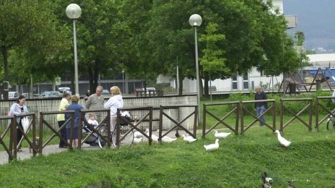 Il parco Pertini di Agliana