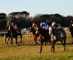 Ippica, a San Rossore la festa della Sardegna 