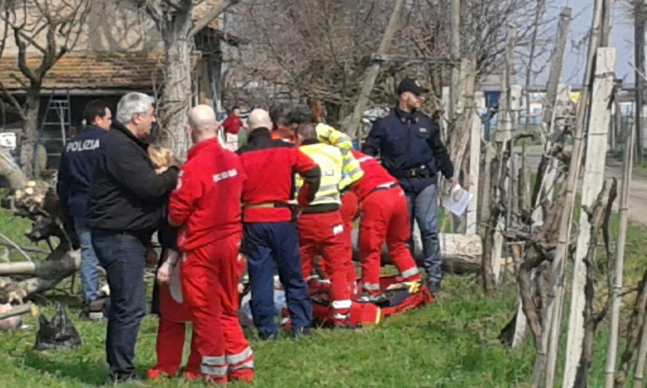 Muore nel giardino mentre pota un albero