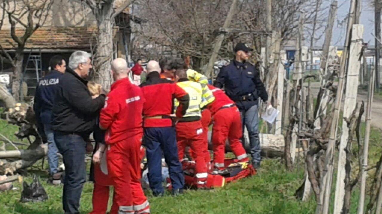 Muore nel giardino mentre pota un albero