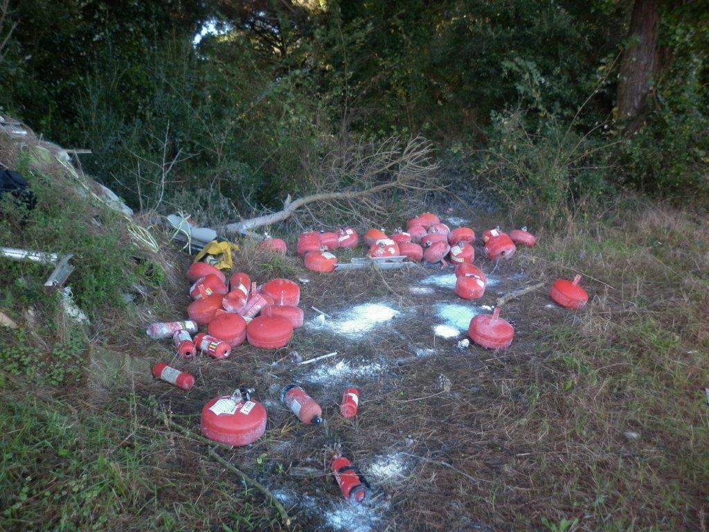 Gli estintori vuoti gettati nel Parco di San Rossore, Migliarino e Massaciuccoli