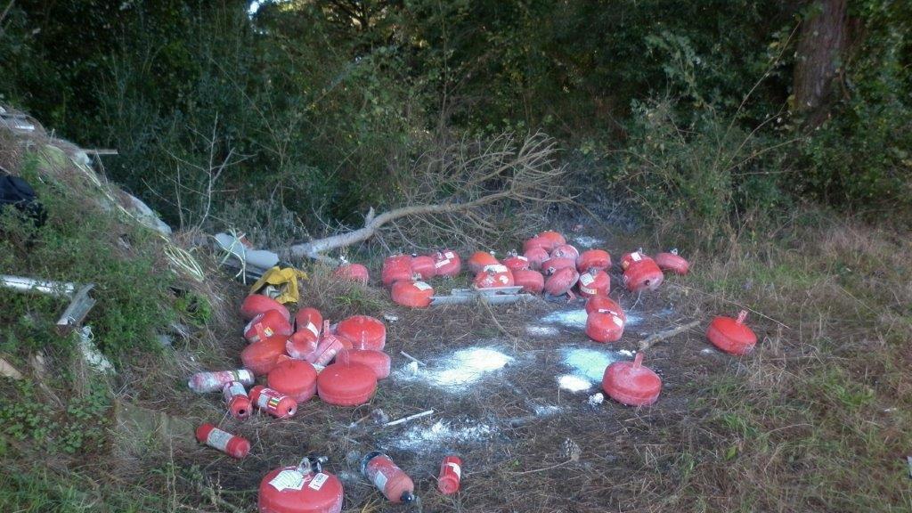 Gli estintori vuoti gettati nel Parco di San Rossore, Migliarino e Massaciuccoli