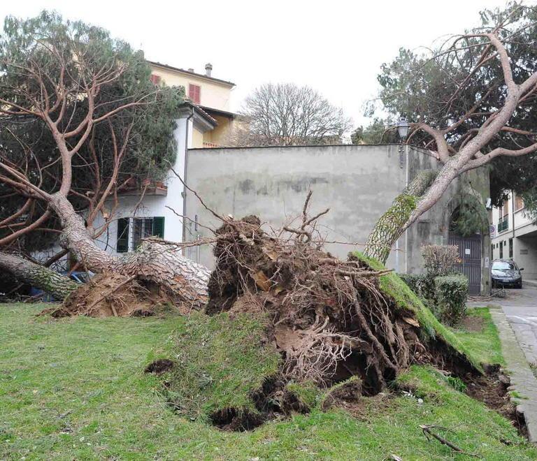 Vento, 2 milioni di danni al Comune 