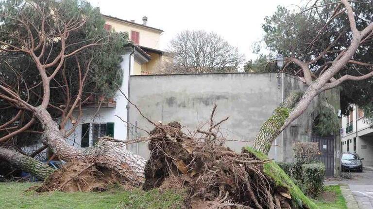 Vento, 2 milioni di danni al Comune