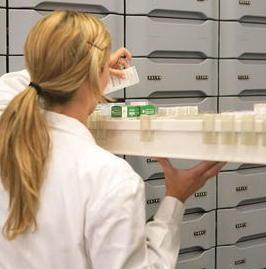 Farmacie private nel turno festivo 