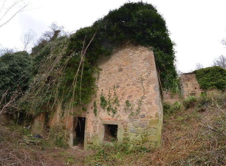 Il Mulinaccio medievale riemerge dall’oblio 