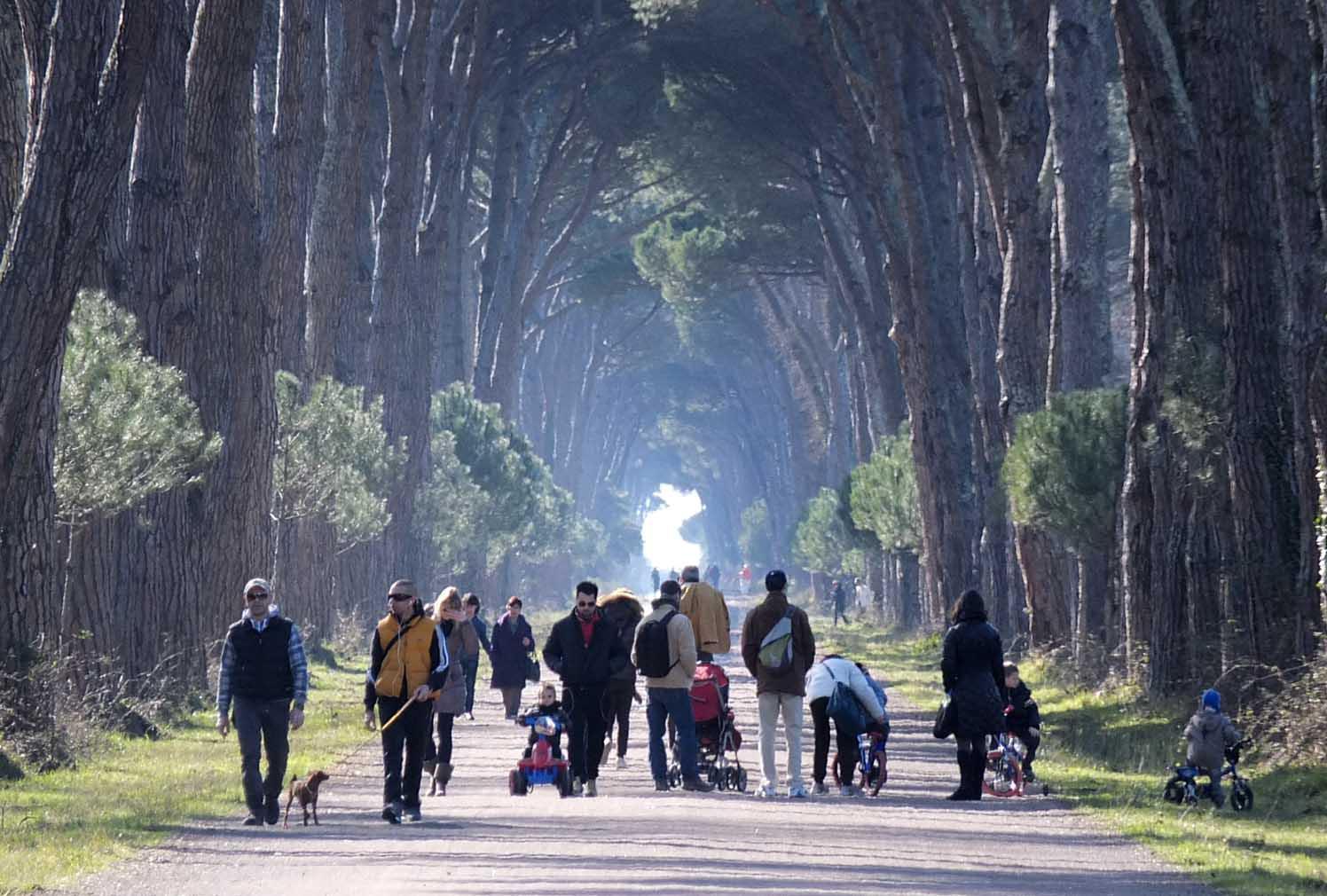 Una passeggiata nel Parco di San Rossore