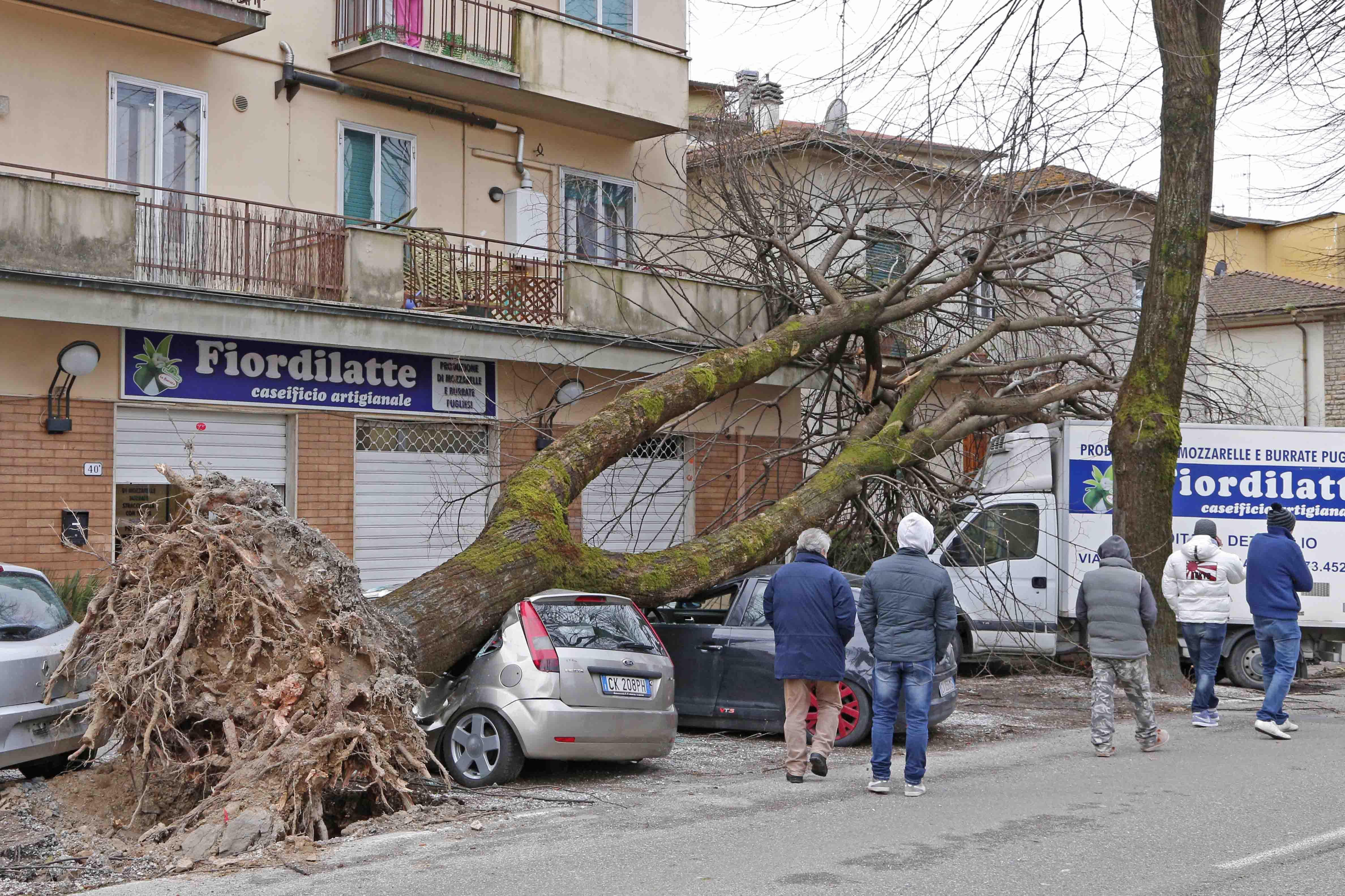 Bufera di vento, ecco come accedere ai risarcimenti