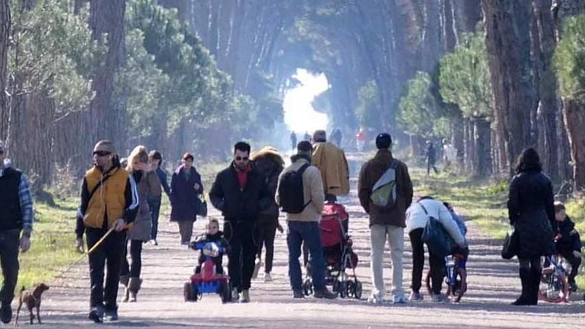 Nuovi percorsi nel Parco in bicicletta e a cavallo
