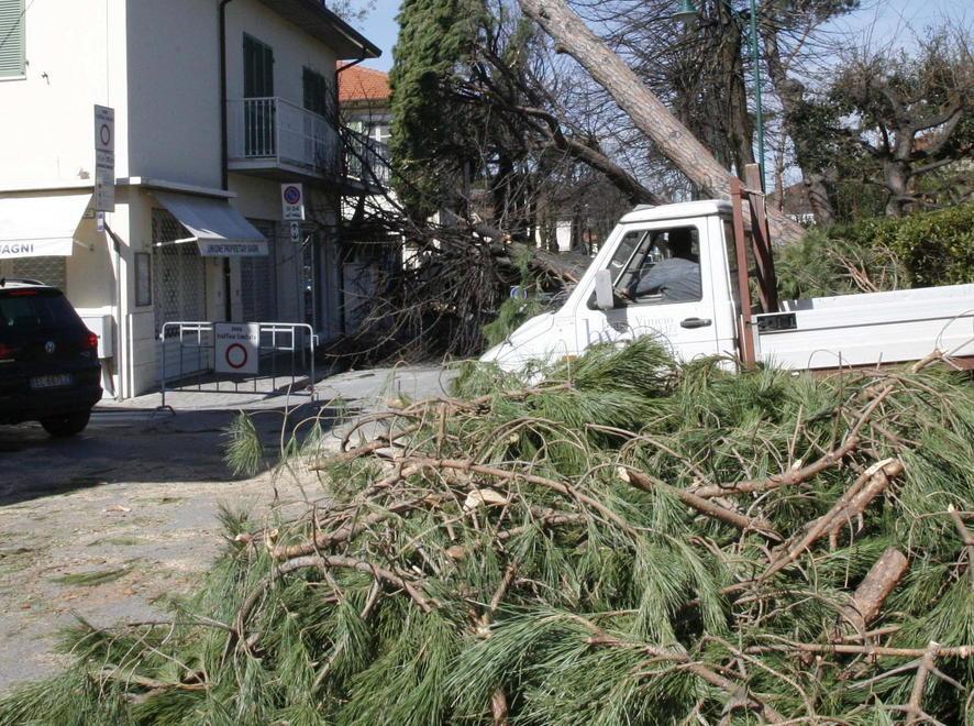 Troppi rifiuti in strada, le prime multe 