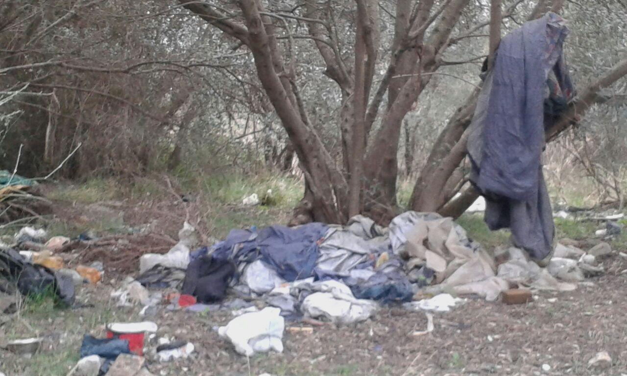 I rifiuti ammassati in un campo di ulivi a Pizzidimonte